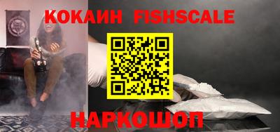 дмт Бийск