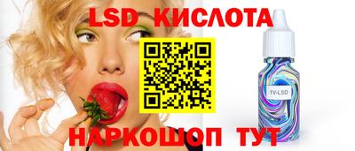 молекула духа Берёзовский