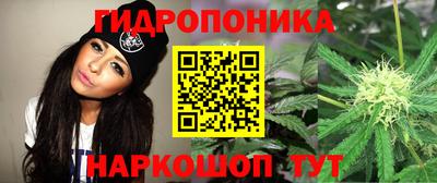 молекула духа Берёзовский