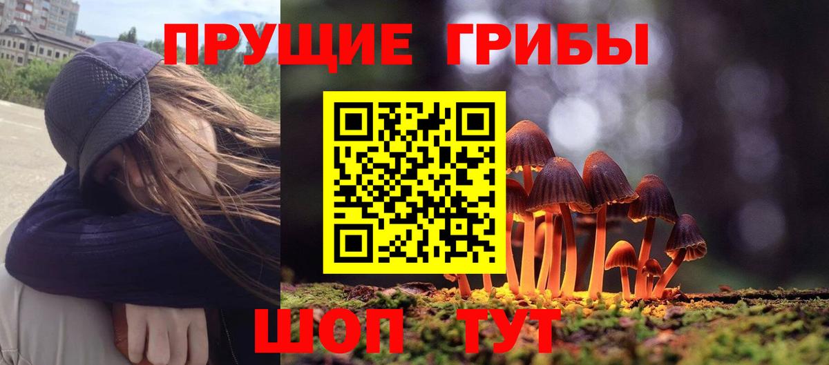 дарнет шоп  Псилоцибиновые грибы мухоморы  Галлюциногенные грибы MAGIC MUSHROOMS  Вход с VPN  Кирово-Чепецк 